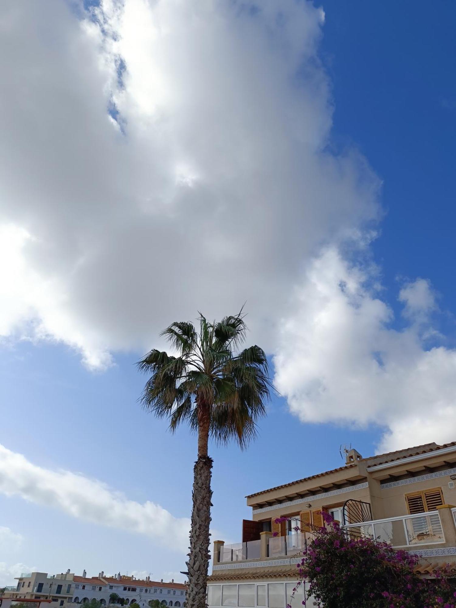Rising Sun Bungalow Torrevieja Eksteriør bilde